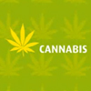 10-edu-cannabis